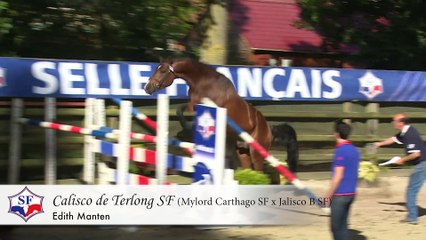 Championnat des Etalons SF 2 & 3 ans - Participants 2015 - Episode 1/6