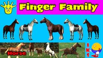 Finger Family Nursery Rhymes for Children Horse Cartoons | Finger Family Children Nursery Rhymes