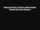 Riding the Waves of Culture: Understanding Cultural Diversity in Business Livre Télécharger