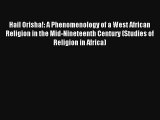 AudioBook Hail Orisha!: A Phenomenology of a West African Religion in the Mid-Nineteenth Century