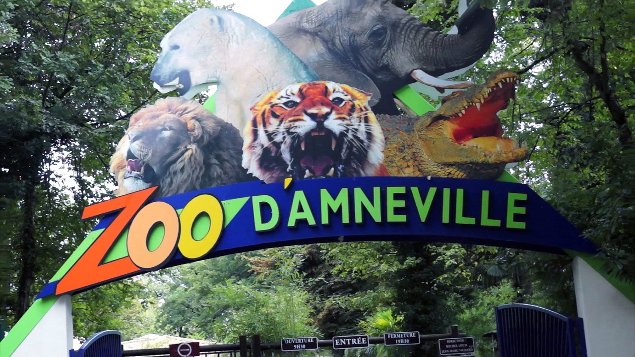 Gillou au Zoo d'Amnéville