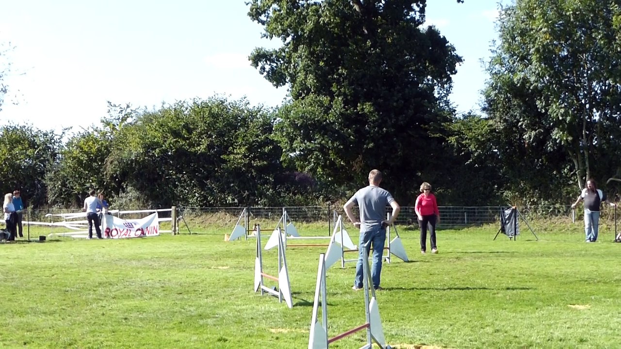 jumping
