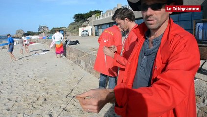 Trégastel (22). Trois drôles d'oiseaux en plein art de l'estran