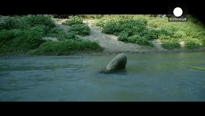 انتشار آلبوم تازه گری کلارک جونیور