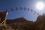 Best of Red Bull Rampage: 2008- Back From Hibernation