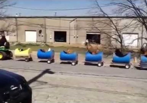 Man Drives Canine Companions in Home-Made Train