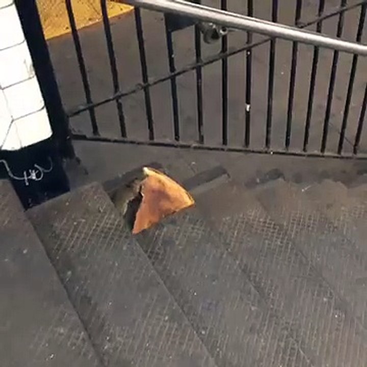 New York City rat taking pizza home on the subway