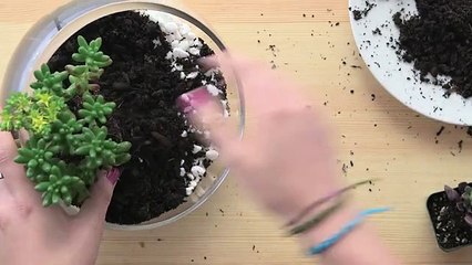 DIY Terrarium ❤ Glamify with LewlaWasHere