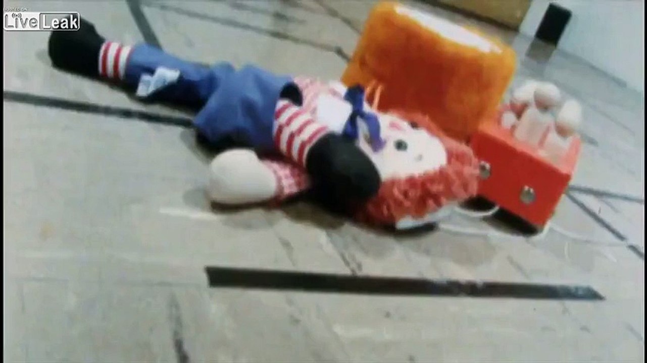 LiveLeak.com - How much does your cat love you