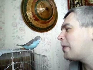 Попугай Шутник и Геннадий Горин