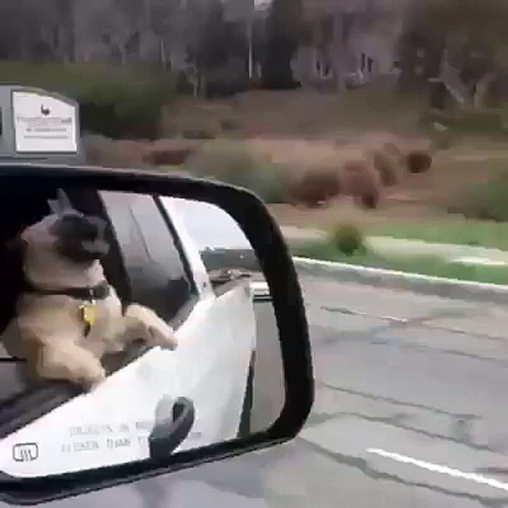 such cuteness ... much love