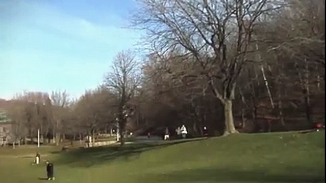 Animal Videos - Golden Eagle Snatches Kid