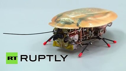 Así luce la cucaracha-robot creada para buscar personas bajo escombros