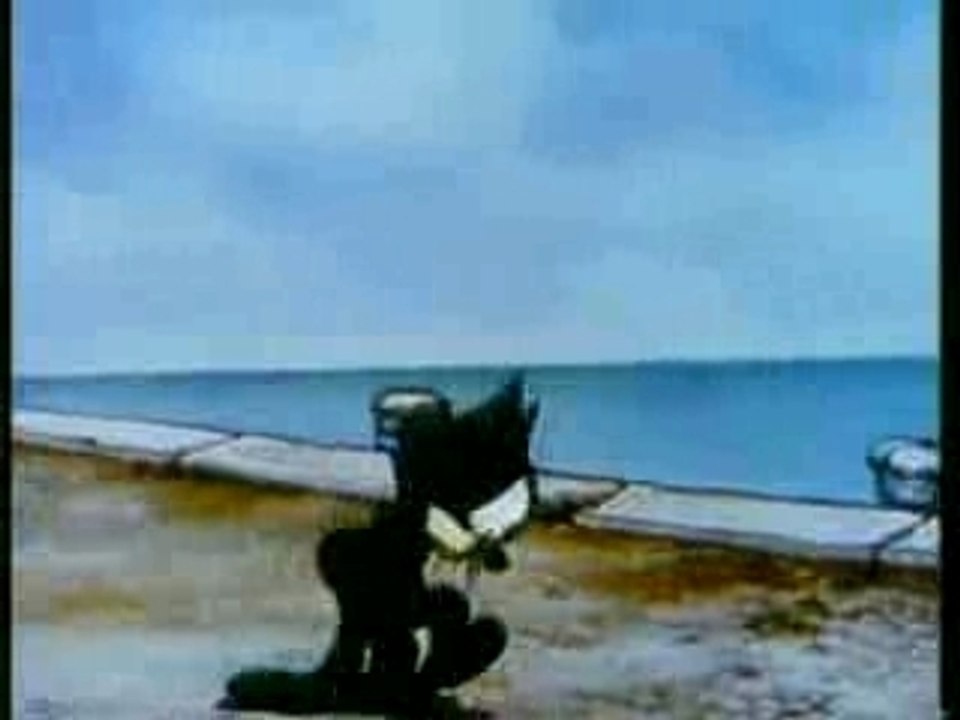 Felix the Cat