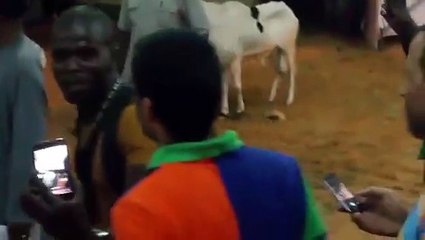 Quand Macky Sall achéte son mouton pour la Tabaski