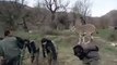trained deer,deer jumps up above on the backs of men
