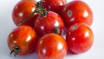 The Secret to Great Tasting Tomatoes