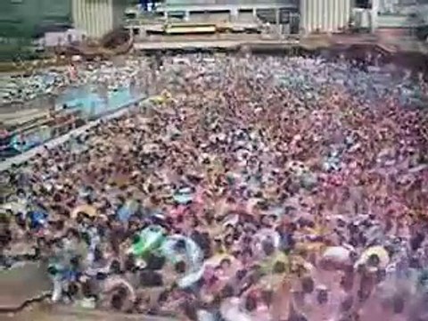 Ils sont les uns sur les autres dans la piscine !