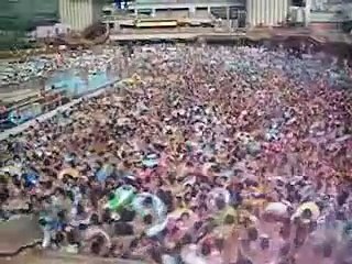 Ils sont les uns sur les autres dans la piscine !