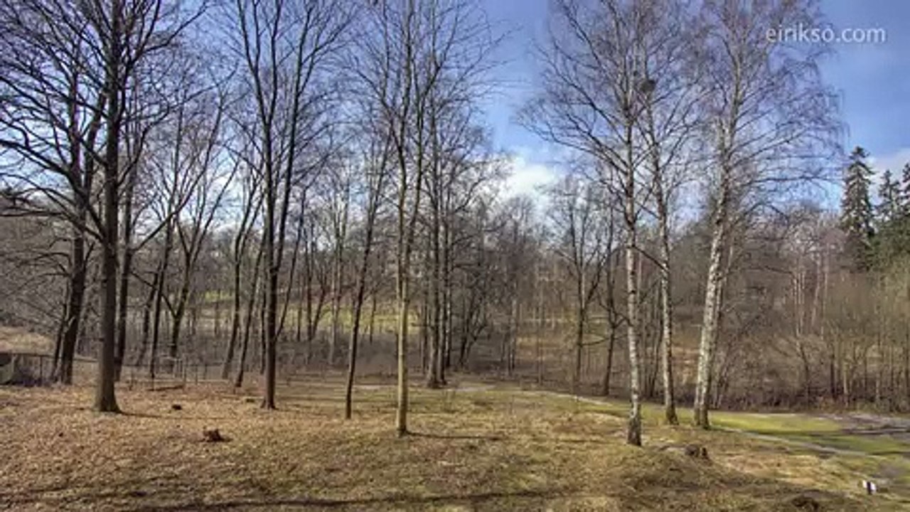 La valse de saisons