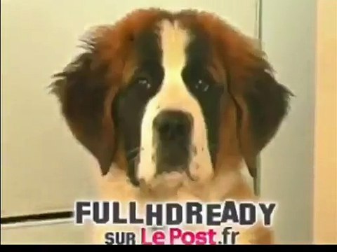 Petite annonce coquine !