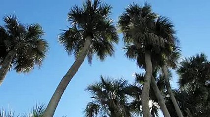 Une fusée franchit le mur du son !