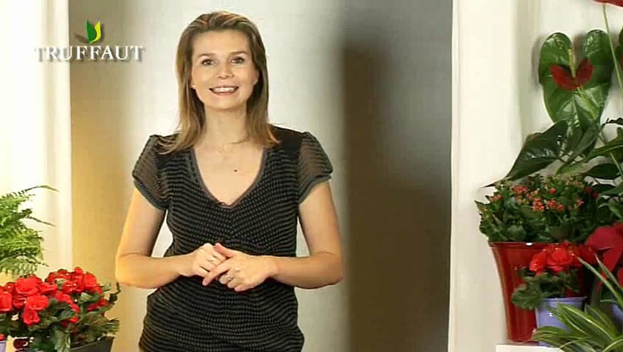 La technique de la peinture à effet relief nacré