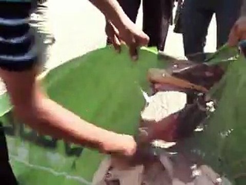 Le Journal vidéo du dimanche 21 août 2011, édition de 18H00.