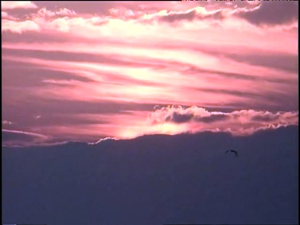 Cem Karaca - Sevda Kuşun Kanadında