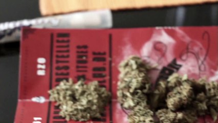 Ö.Z61 feat. King O One - Fly to the Sky