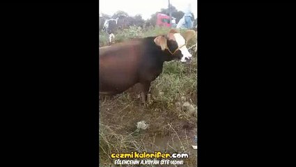 Kurban Bayramına Özel Don't Judge Challenge Videosu