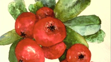 Tutorial how to paint Christmas Holly Berries with watercolor for beginners