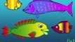 Meet Ploop The Baby Fish! Educational Cartoons for Kids & Children /childrens phim hoạt hình,만화 어린이 [Full Episode]
