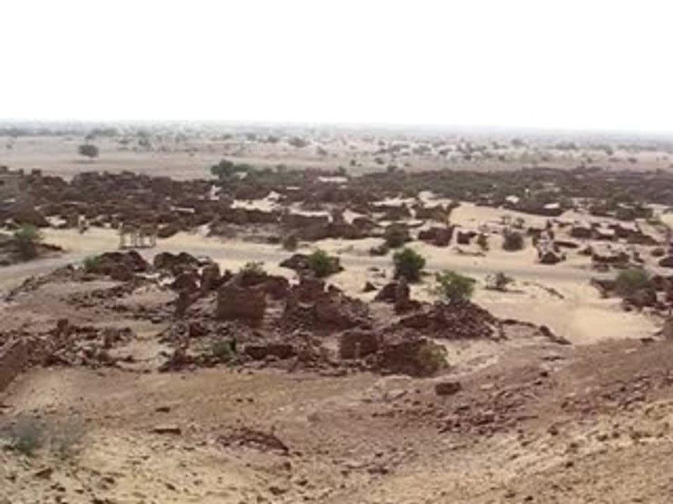 Le roi du desert