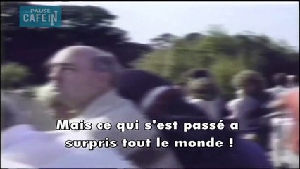 Un enfant tombe dans l'enclos au gorille... la suite de l'histoire est juste incroyable !