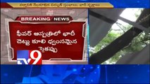 Fever Hospital ward damaged due to heavy rain in Hyderabad