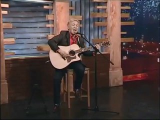 Владимир Харламов Фонари