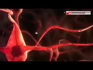 TGSRVset25 Alzheimer, a Triggiano nasce il Fallacara Brain Department