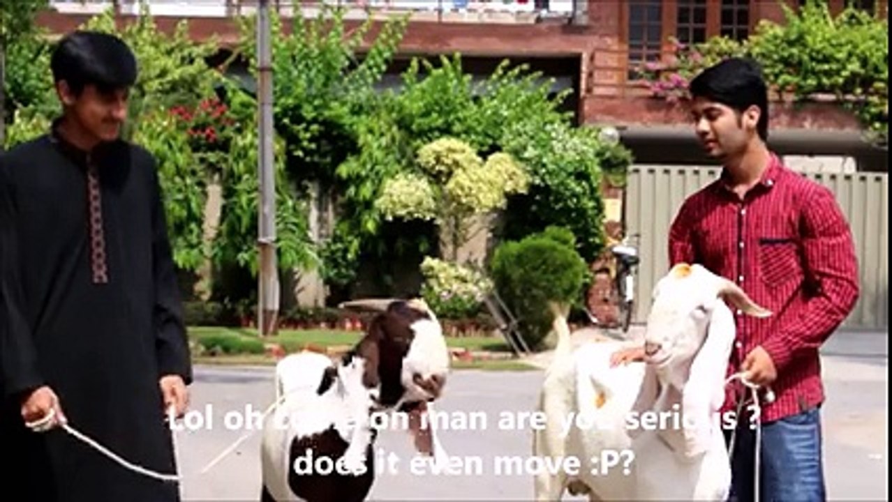 Bakra Eid