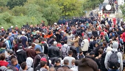 Сирийский мальчик дошел до Сербии со скрипкой в руках