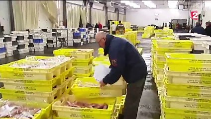 _La route des Saint-Jacques 02-cut