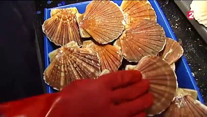 _La route des Saint-Jacques 03-cut