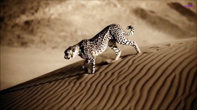 Dead can dance~Lisa Gerrard ~The Host of Seraphim