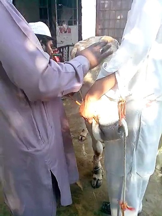 VID-20150926-WA0003.3gp