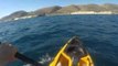 Kayak Fisherman Battles Hammerhead Shark