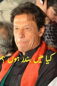 PTI Imran Khan-Saleem Safi Vs Ali Muhammad Khan