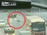 Stray Dog Drags Stray Dog To Safety on a Busy Highway