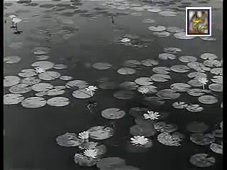 يا مسافر وحدك______عبد الوهاب