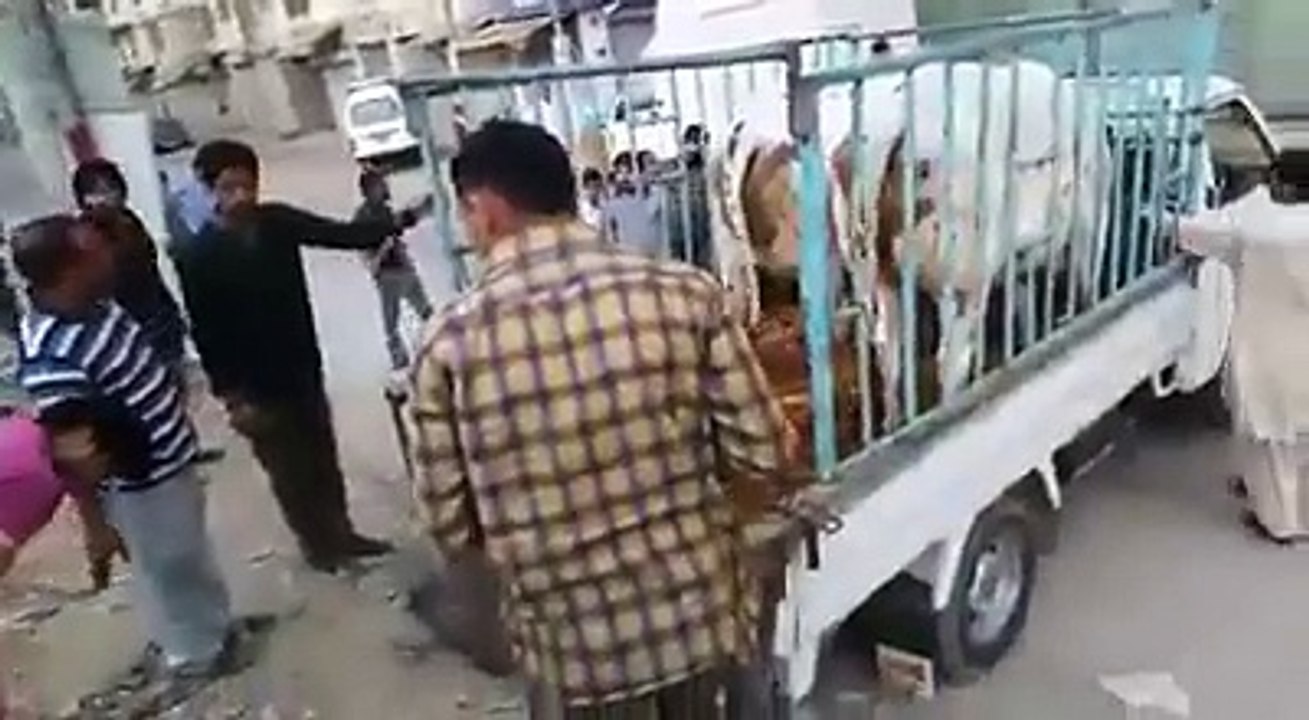two cows run away | two cows run away in pakistan before sacrifice