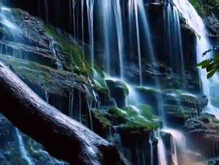 وحدهن.....فيروز